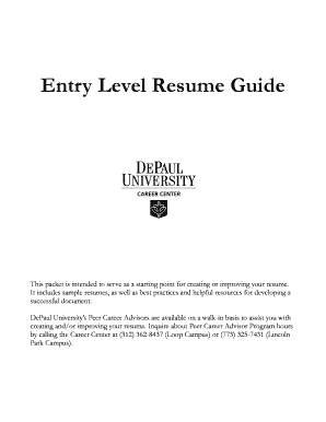 entry level resume guide the career center depaul university form