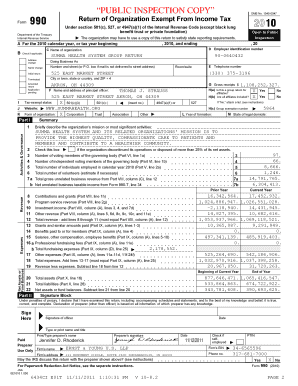 IRS Form 990 2010