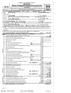 Form 990-EZ 2010