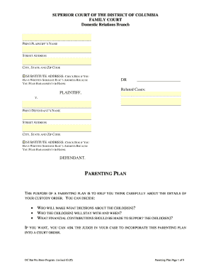 Parenting Plan Template