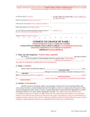 Child Name Change Consent Form