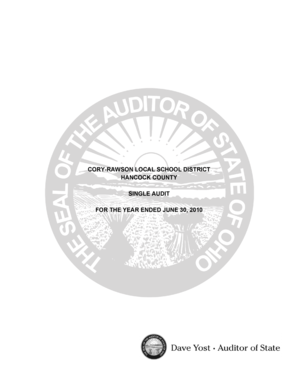 Simple audit report sample pdf - Statement of Fiduciary Net Assets - auditor state oh