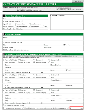NY State Client Semi-Annual Report