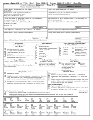 US Bankruptcy Voluntary Petition
