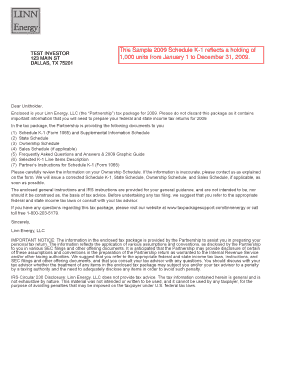 Schedule K-1 Form 1065 2009