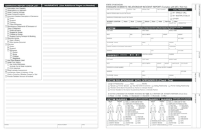 Michigan Domestic Relationship Incident Report