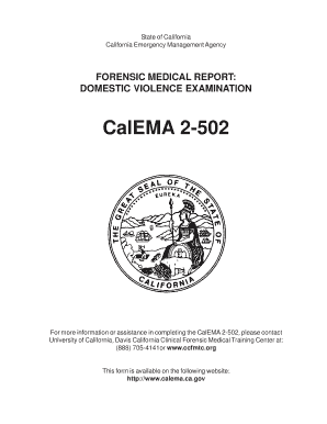 California Domestic Violence Examination Form