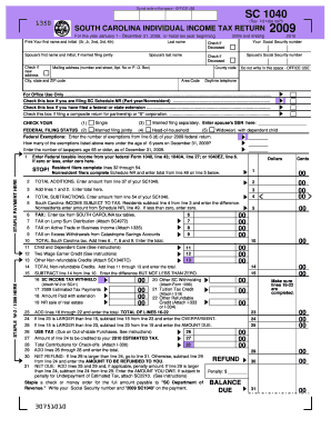 South Carolina Individual Income Tax Return 2009