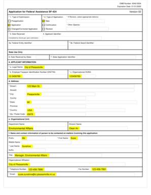 US Federal Assistance Application Form SF-424