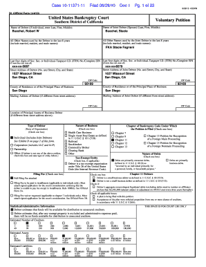 US Bankruptcy Voluntary Petition