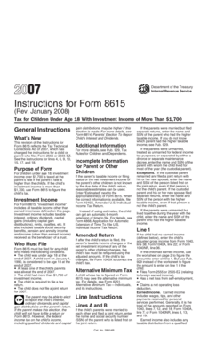 Form 8615 Instructions
