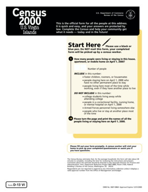 US Census Form D-13 VI