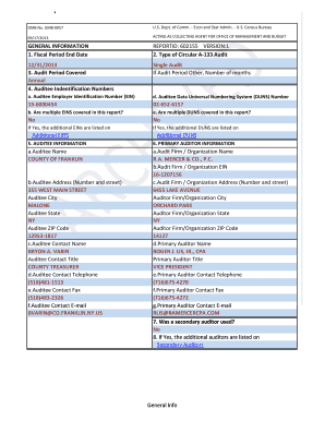 US Federal Single Audit Data Collection Form