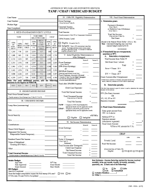 TANF CHAP Medicaid Budget Form