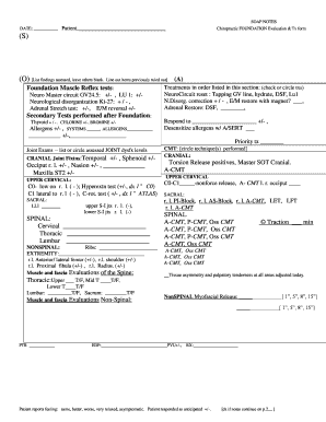 Chiropractic SOAP Notes Form