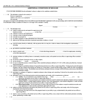 Additional Conditions of Release Form