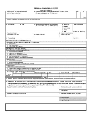 SF-425 Federal Financial Report