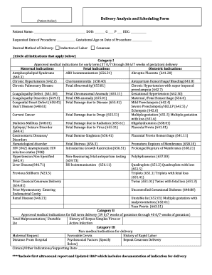 Delivery Analysis and Scheduling Form