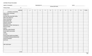 Expense Projection Sheet