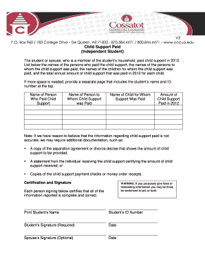Child Support Paid Form