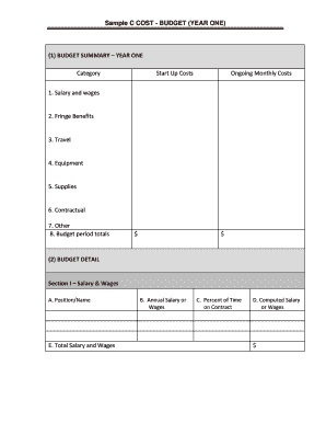 Sample C Cost Budget Year One
