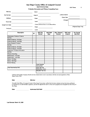 San Diego County Adult Criminal Case Form