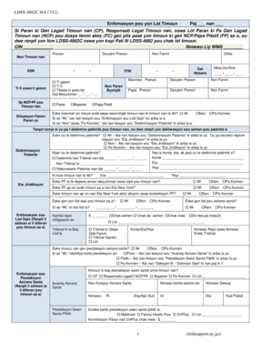 New York Child Support Information Form