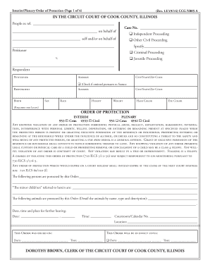 Interim/Plenary Order of Protection