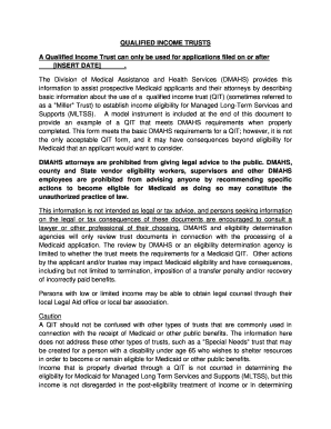 Qualified Income Trust Form