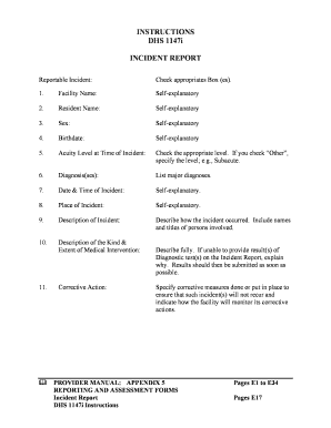 DHS 1147i Incident Report