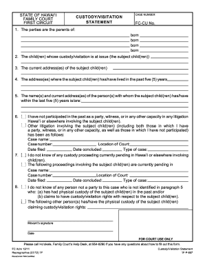 Hawaii Family Court Custody Visitation Statement