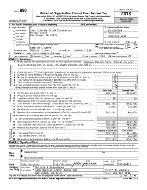 Form 990 2013