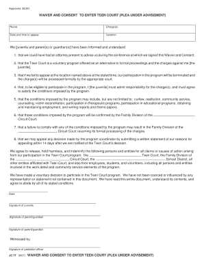 Teen Court Waiver and Consent Form