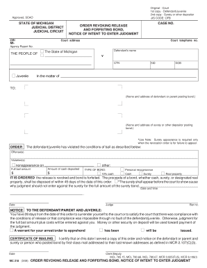 Order Revoking Release and Forfeiting Bond