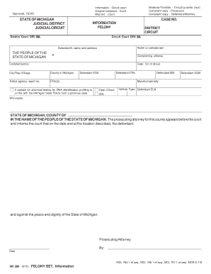 Michigan Felony Court Complaint Form