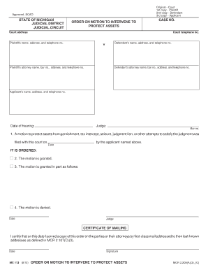 Michigan Order on Motion to Protect Assets