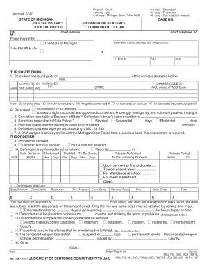 Michigan Judgment of Sentence