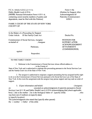 New York Petition for Support