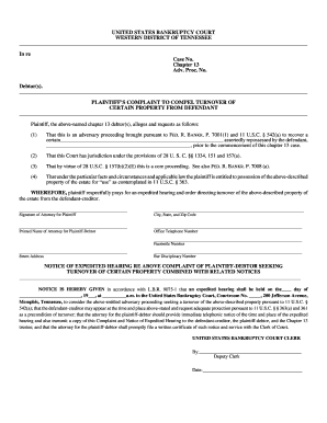 Plaintiff's Complaint to Compel Turnover of Property