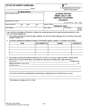 Juvenile Delinquency Petition