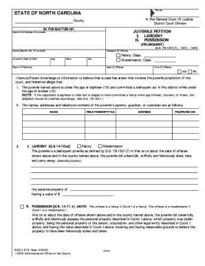 Juvenile Petition for Larceny and Possession