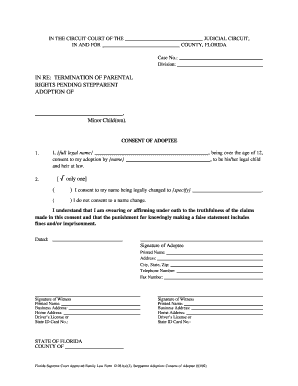 Florida Stepparent Adoption Consent Form