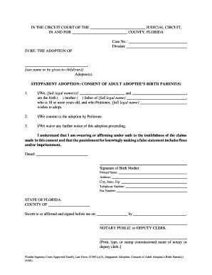 Florida Stepparent Adoption Consent Form