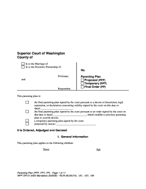 Washington State Parenting Plan Form