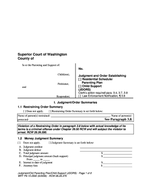 Washington State Parenting Plan and Child Support Order