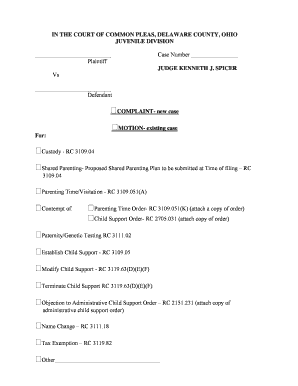 Ohio Child Custody Complaint Form