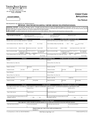 Visa Platinum Credit Card Application