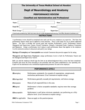 University of Texas Performance Review Form