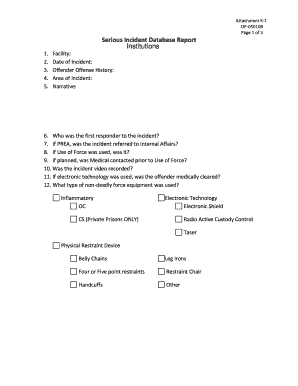 Serious Incident Database Report