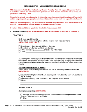 Medium Distance Parenting Plan